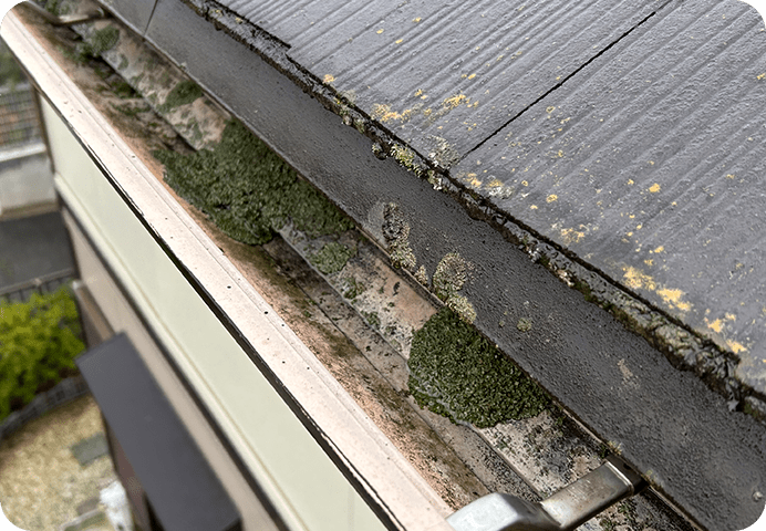 雨どいの状況確認
